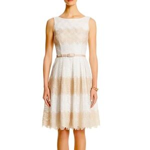 White House Black Market Beige and White Striped Lace Fit & Flare Dress Size 8